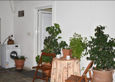 Zoe'S Apartment Bright&Cozy Athén Kültér fotó
